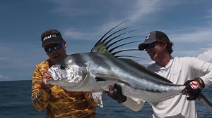 15K views · 69 reactions | On the next BigWater Adventures, Panama's Tropic Star Lodge delivers a "Believe The Hype" episode yet again. The plan changes from no show Wahoos to wide open Roosters showcasing why Tropic Star is one of the top fishing destinations in the world and a stop for BigWater Adventures EVERY season. TUE March 5 at 6:30 AM THU March 7 at 9:00 AM SAT March 9 at 9:30 AM SUN March 10 at 6:30 AM on #OutdoorChannel. | BigWater Adventures / Mark Davis | Facebook