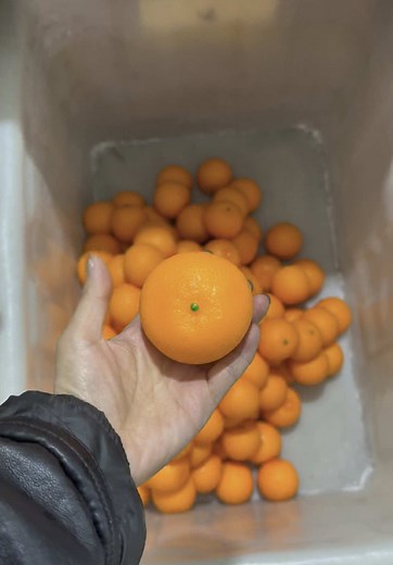 Creating Hyperrealistic Fake Oranges: A Step-by-Step Guide