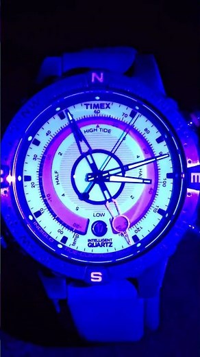 Timex Tide Temp Compass Watch Lume Check.