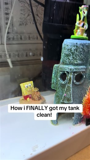 Ultimate Guide to Easily Clean Your Fish Tank