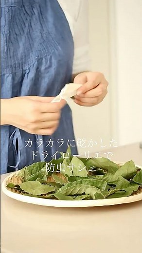 【玄関や衣類の虫除け】ローリエと重曹で作る防虫サシェ&除湿アロマポプリ#アロマ #防虫 #除湿