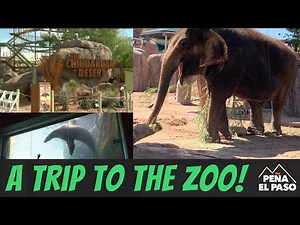 El Paso Texas Zoo