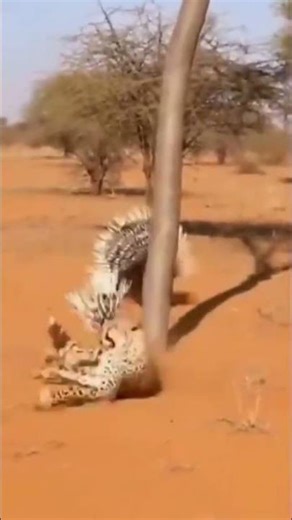 जीवन में धोखा वहीं लोग खाते हैं जो खुद को ताकतवर और दूसरों को कमजोर समझते हैं।