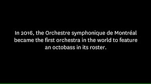 5.9K views · 100 reactions | Tonight, we celebrate the 5oth...