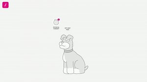 Lemonade Pet Insurance TV Spot, 'Customize Your Policy'