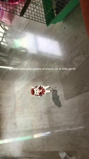 Roblox roblox
