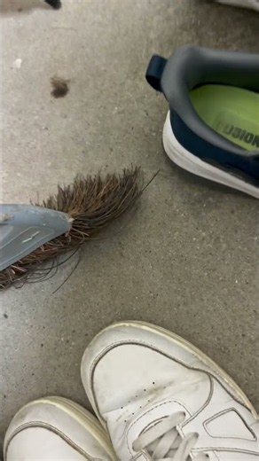 ゲジゲジ 退散