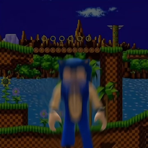 Ideias de Skin Roblox para Sonic e Brookhaven