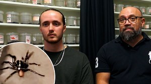 Twist for Sydney teen bitten by funnel-web while sleeping