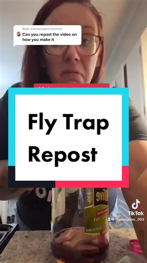 DIY Fly Trap Tutorial for Your Home
