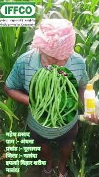 Noorsarai Farmer Feedback to Nano Urea,Nano DAP used before 2 Years ‪@IndianFarmer‬‪@IFFCO_Ltd‬