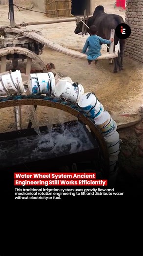 🚨 Water Wheel System 😳 Ancient Engineering Still Works Efficiently 🚨