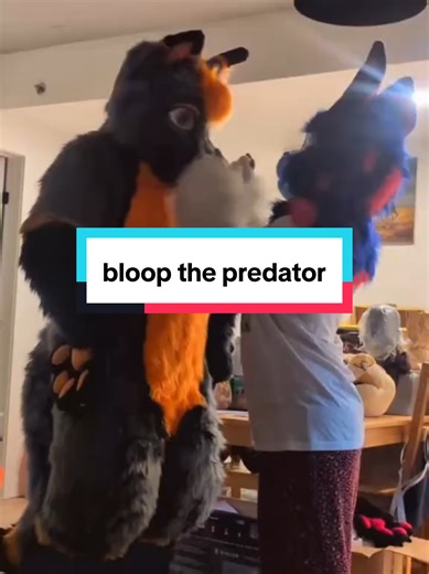 original creator @shenzi🔜?? featuring me #furry #fullsuiter #furryfandom #fursuit #furriesoftiktok