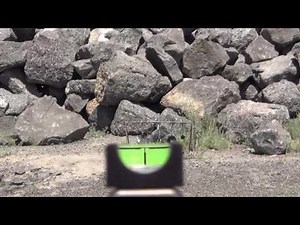 Shooting the SeeAll Nite