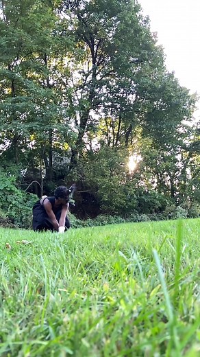 Highest Therian Jump Compilation | Black Fox Altair & More