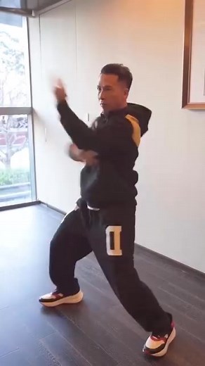 #Legend_Donnie_Yen😈 | Shaolin Kong Fu