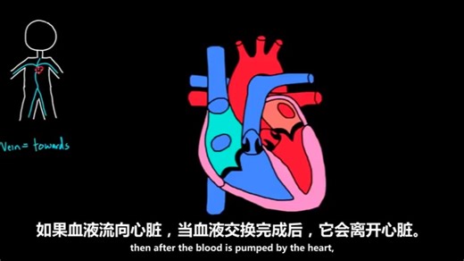 了解心脏工作原理 Khan Academy