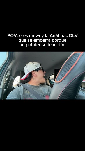 Anáhuac Student vs. Pointer: A Humorous Encounter