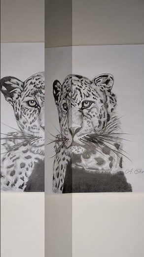 #bleistiftzeichnung (1#Skizze) #drawing #art #nature #magic ☺️❤️