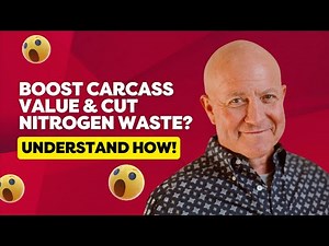 Nutritional Tools That Work for Beef Cattle Efficiency - Dr. Kraig Peel