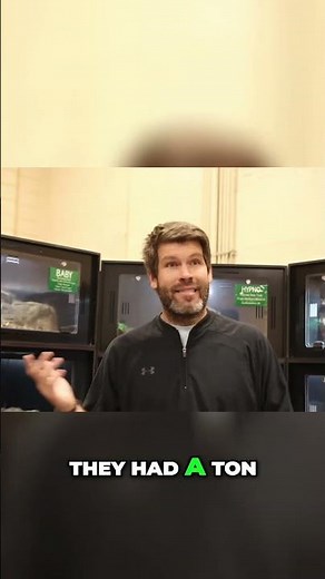 Florida's Invasive Species: Pythons & More Explained!