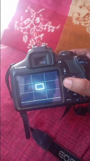 Canon 1500d manual settings in indoor shot