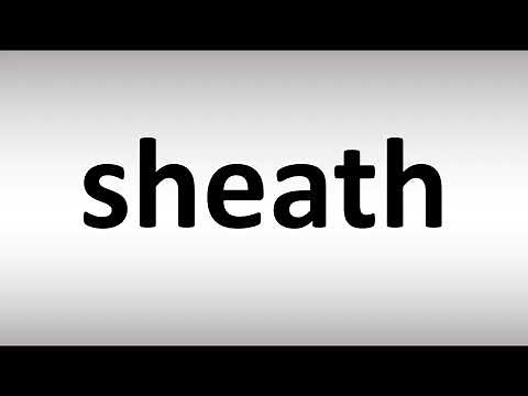 How to Pronounce sheath