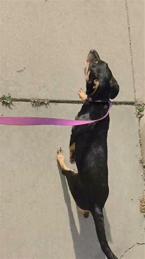 Stormy weather on the sidewalk