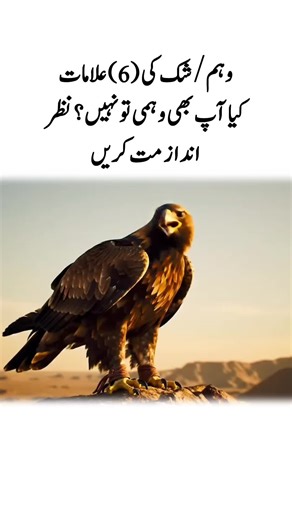 The Majestic Falcon Perched on a Tree Branch