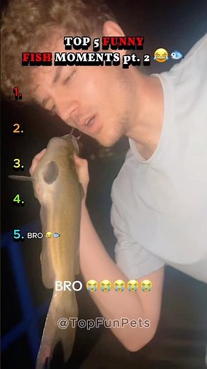 Top 5 Funny Fish Moments pt. 2 🐠