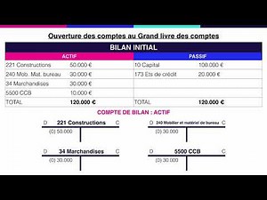 V19 - Bilan comptable et grand livre des comptes : cas pratique