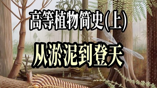 【植物演化-0】高等植物简史(上)
