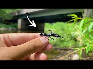 This TINY Fishing lure started a FRENZY!!