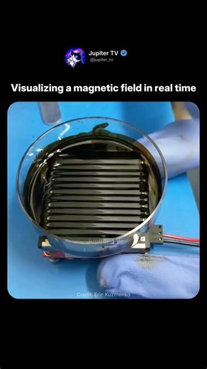 A Magnetic Field You Can Actually See 👀