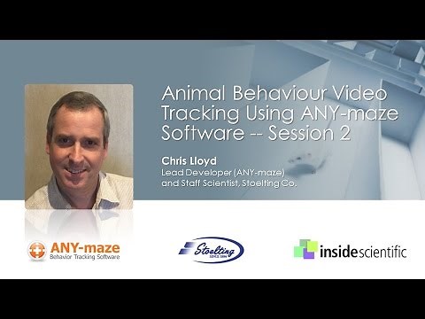 Animal Behavior Video Tracking Using ANY-maze Software - Session 2