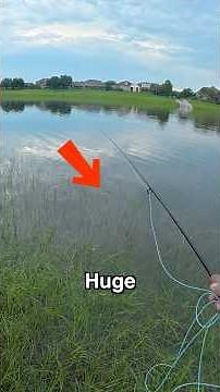 I Found MONSTER Fish But It Wouldn't Eat, So I Got CREATIVE😳