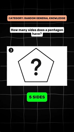 Can You Answer These Easy Questions? 🤯