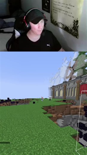 Viewer had one totem left and did this... | #mr_sneaky414 on #Twitch