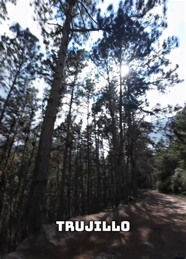RUTAS DE TRUJILLO — EP.3 El Bosque de Pinos 🌲 | Escuque, Trujillo Esto no es Europa. Está a 30 minutos de Valera. RUTA / CÓMO LLEGAR: → Bomba La Esperanza (Valera) → Dobla a la derecha y sube por la calle → Subes a Escuque → buscas el desvío hacia los pinos → Subida final: solo paciencia y calma LO QUE VAS A ENCONTRAR: • Vistas increíbles de Valera en la subida • Un ruido misterioso dentro de la montaña • Un bosque de pinos que parece de otro país • Un camino que continúa… y no sabemos a dónde 