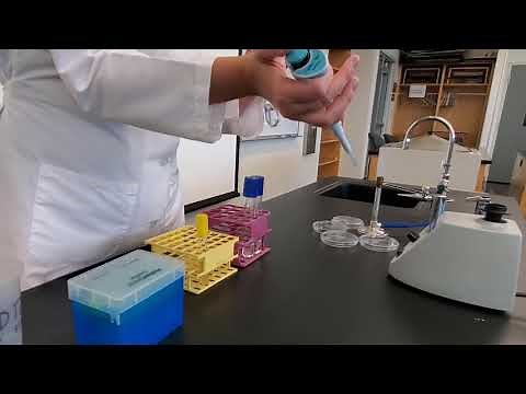 Lab 6-1: Standard Plate Count Technique