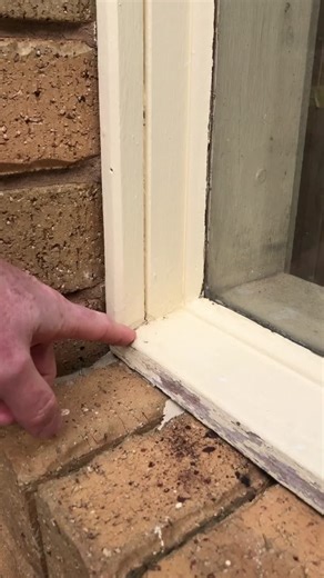 #timbermate #woodhardener #construction #diyproject | Timbermate Group