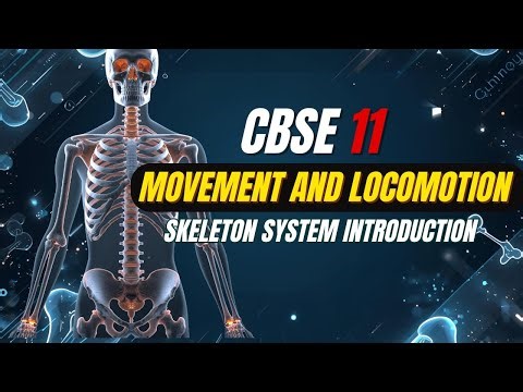 🦴 Skeletal System – Introduction (Class 11 & NEET Biology)|Movement and Locomotion