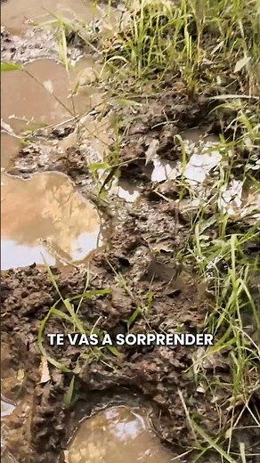 Caza y pesca en el monte: lo que pasó nos dejó sin palabras #hunting #fishing