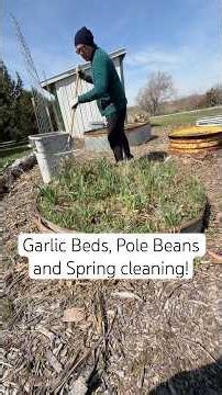 Pole Beans, Garlic and Spring clean-up! #gardeninglife #plantingvegetables #gardeningtips #planting