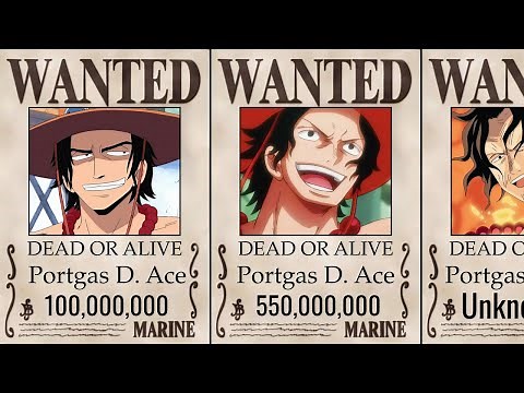 Evolution of One Piece Bounty | Explained