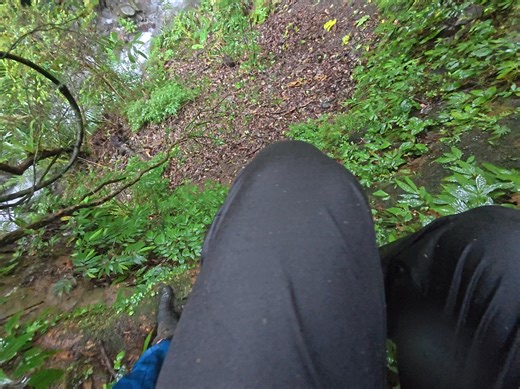 What job pays 20,000NTD (650USD) per day? No worth of it. But hope can help. #beastrunners #跑山獸 #SAR #叢雲山 | Beast Runners 跑山獸