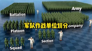 你知道军队的作战单位，都是怎么划分的吗？
