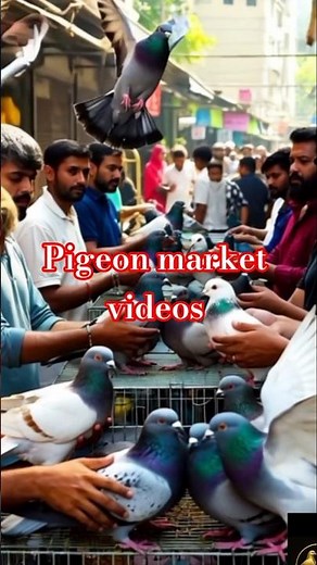 The Amazing Journey of Pigeons: From Wild to Domesticated