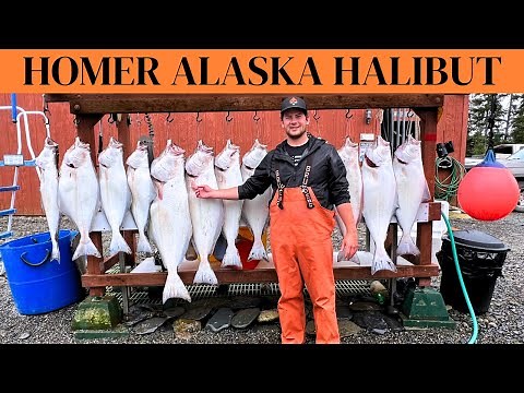 Halibut Fishing In Homer Alaska | {Catch and Clean Halibut Fishing}