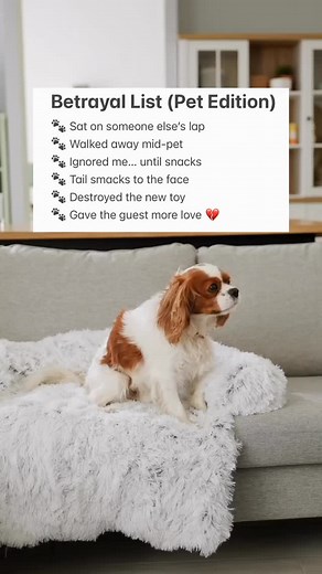 Even the betrayals are part of the joy. ❤️🐾 Read feel-good stories of pets of all shapes and sizes in Chicken Soup for the Soul: Pets, Pets, Pets. #chickensoupforthesoul #csspetspetspets #pets #dogs #cats #newbook #betrayallist | Chicken Soup for the Soul